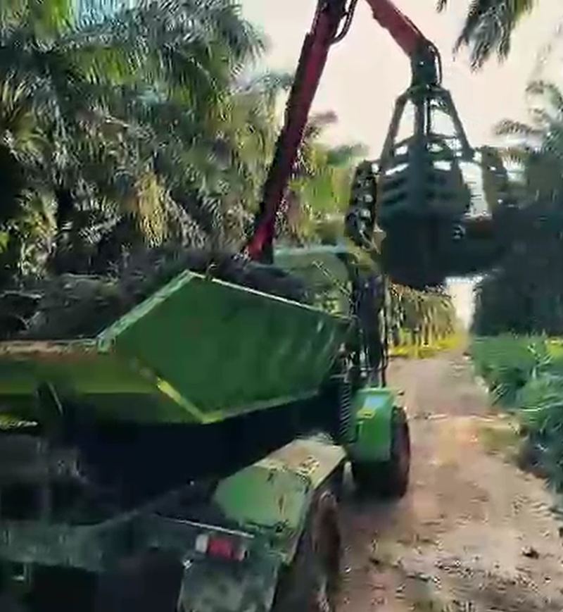 HL Series (Huili) grabber at work in an oil palm estate